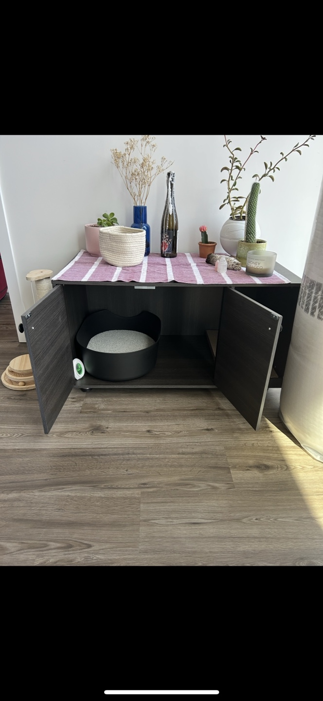 Cat hidden litterbox enclosure