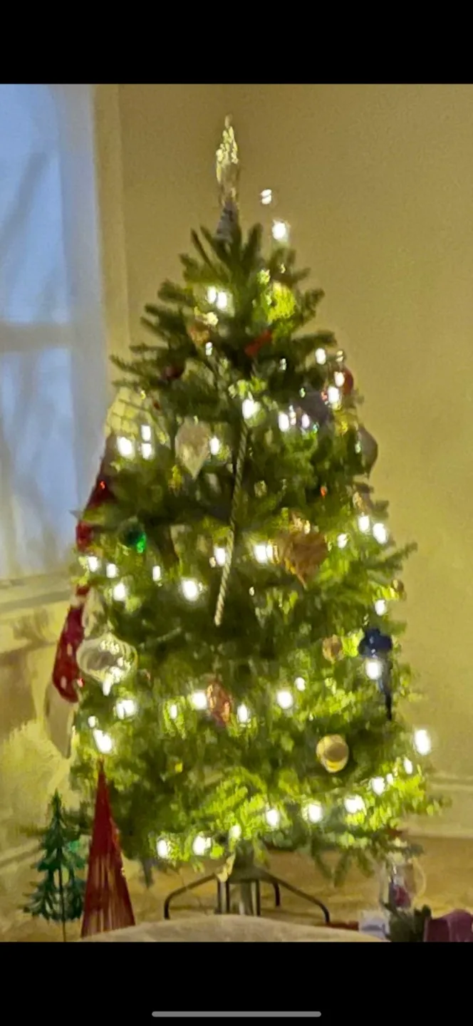 Christmas Tree and ornaments image indicator(2)