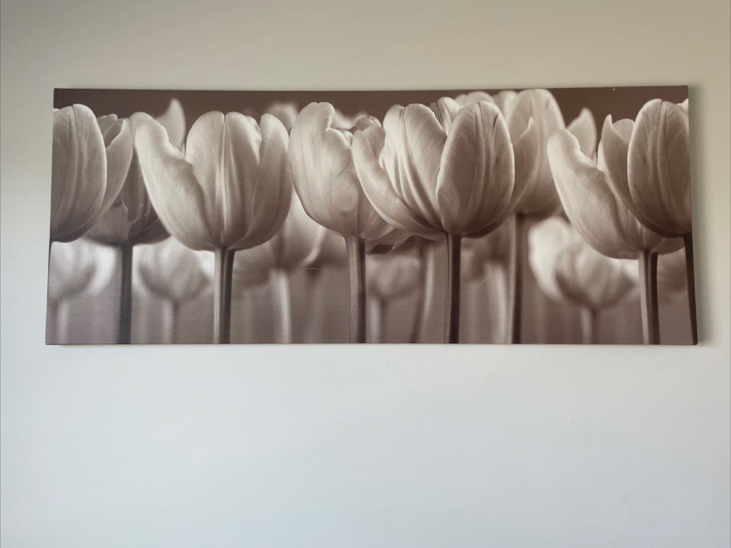 Floral Canvas Wall Art from IKEA