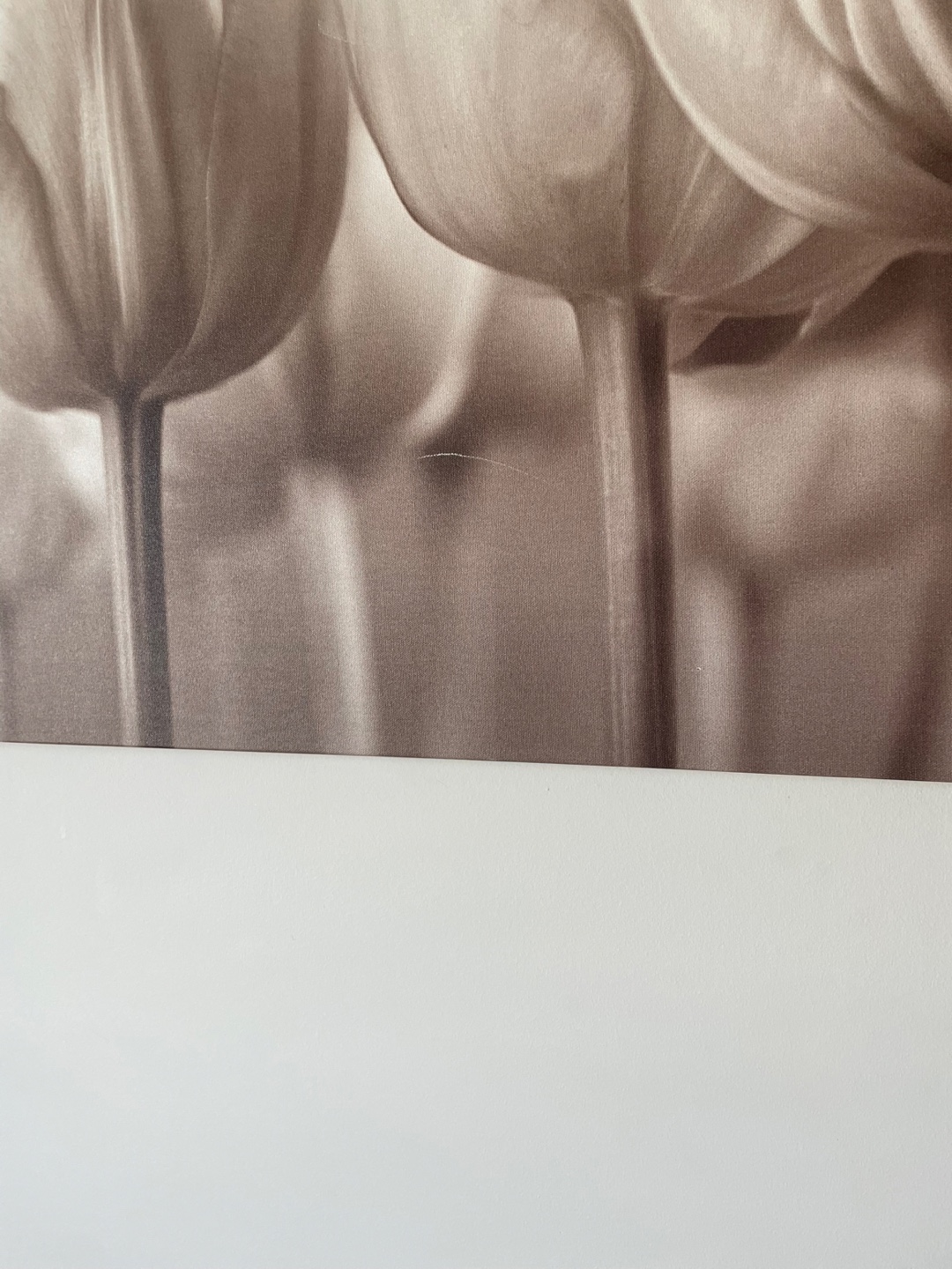Floral Canvas Wall Art from IKEA - photo 2