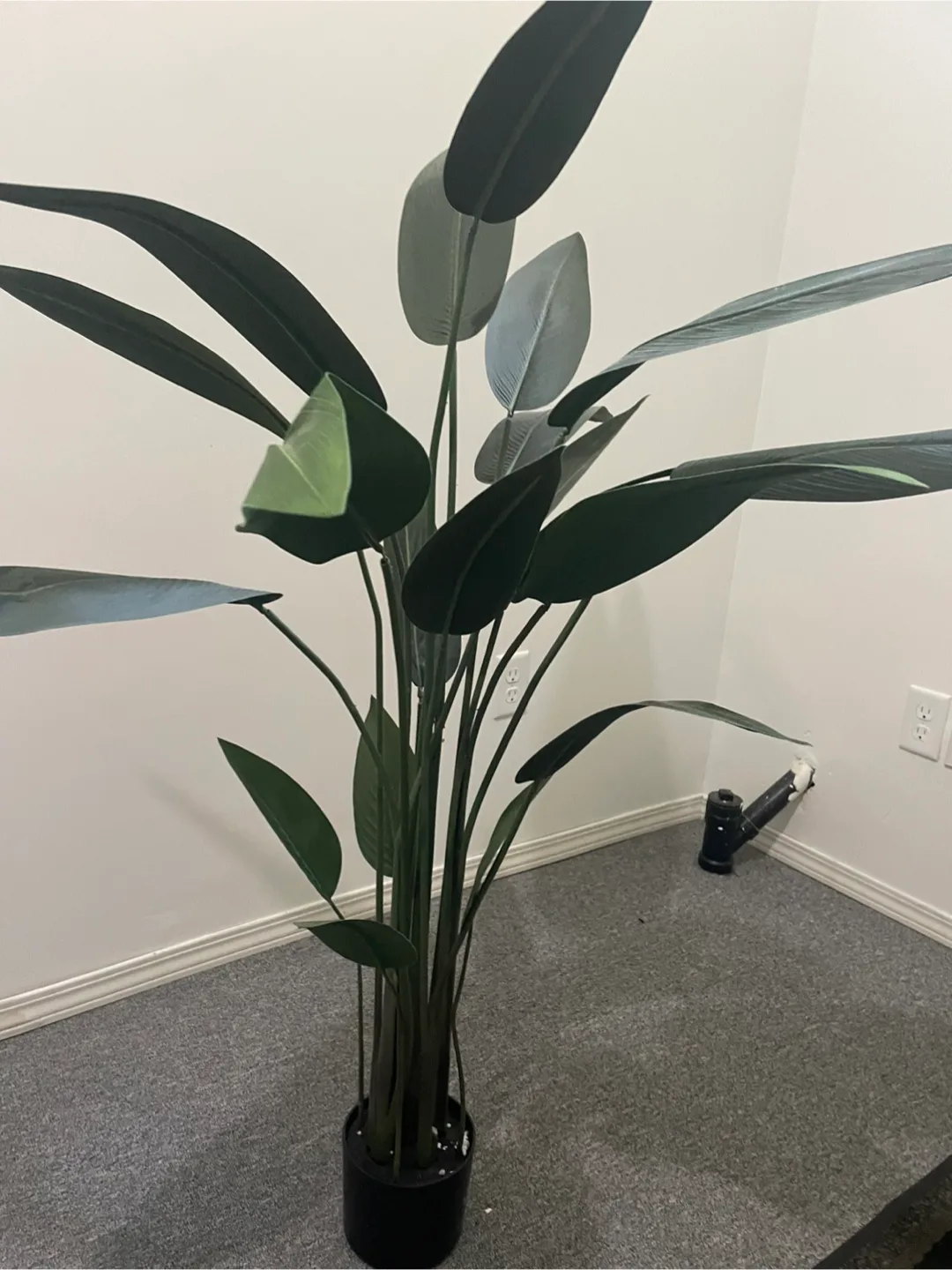 Artificial plant thumbnail