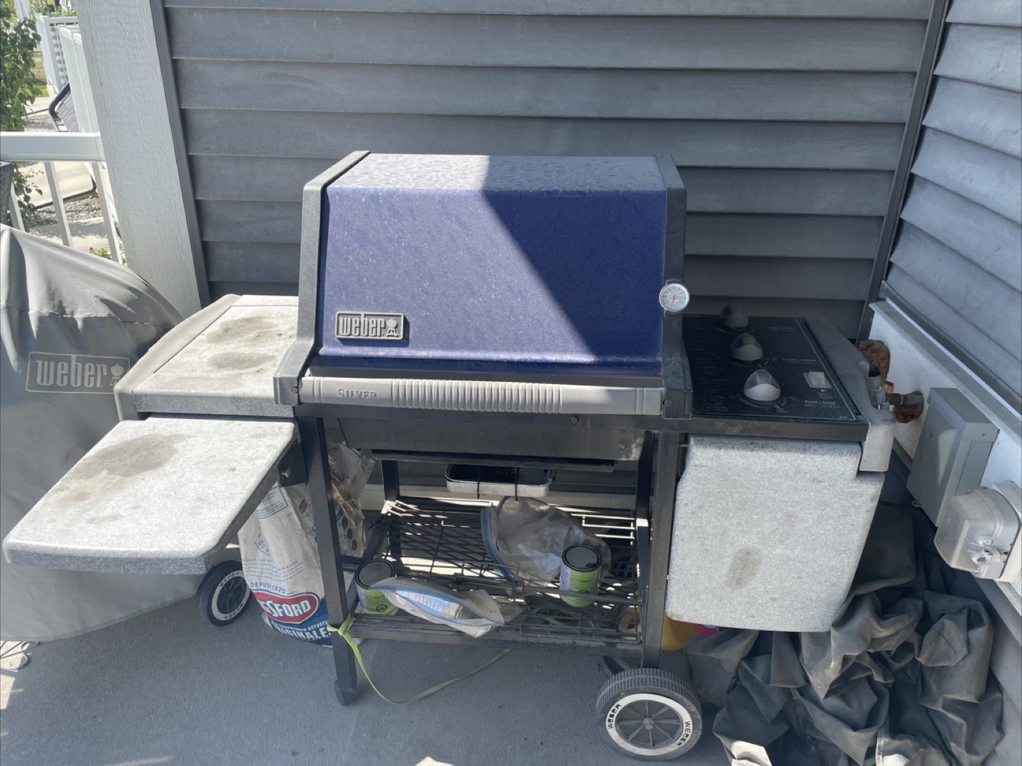 Weber Gas BBQ Grill