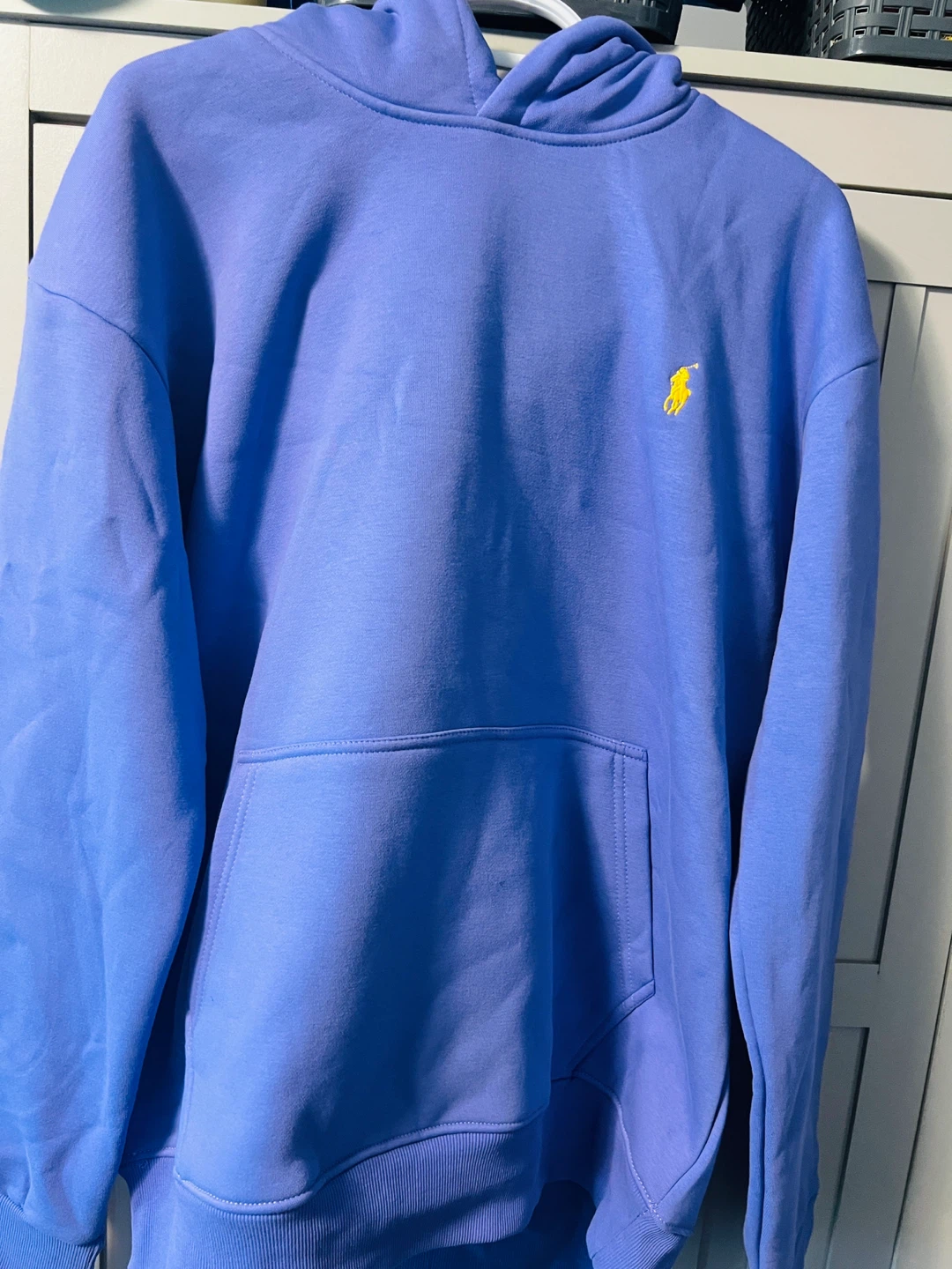 Polo Ralph Lauren Purple Hoodie