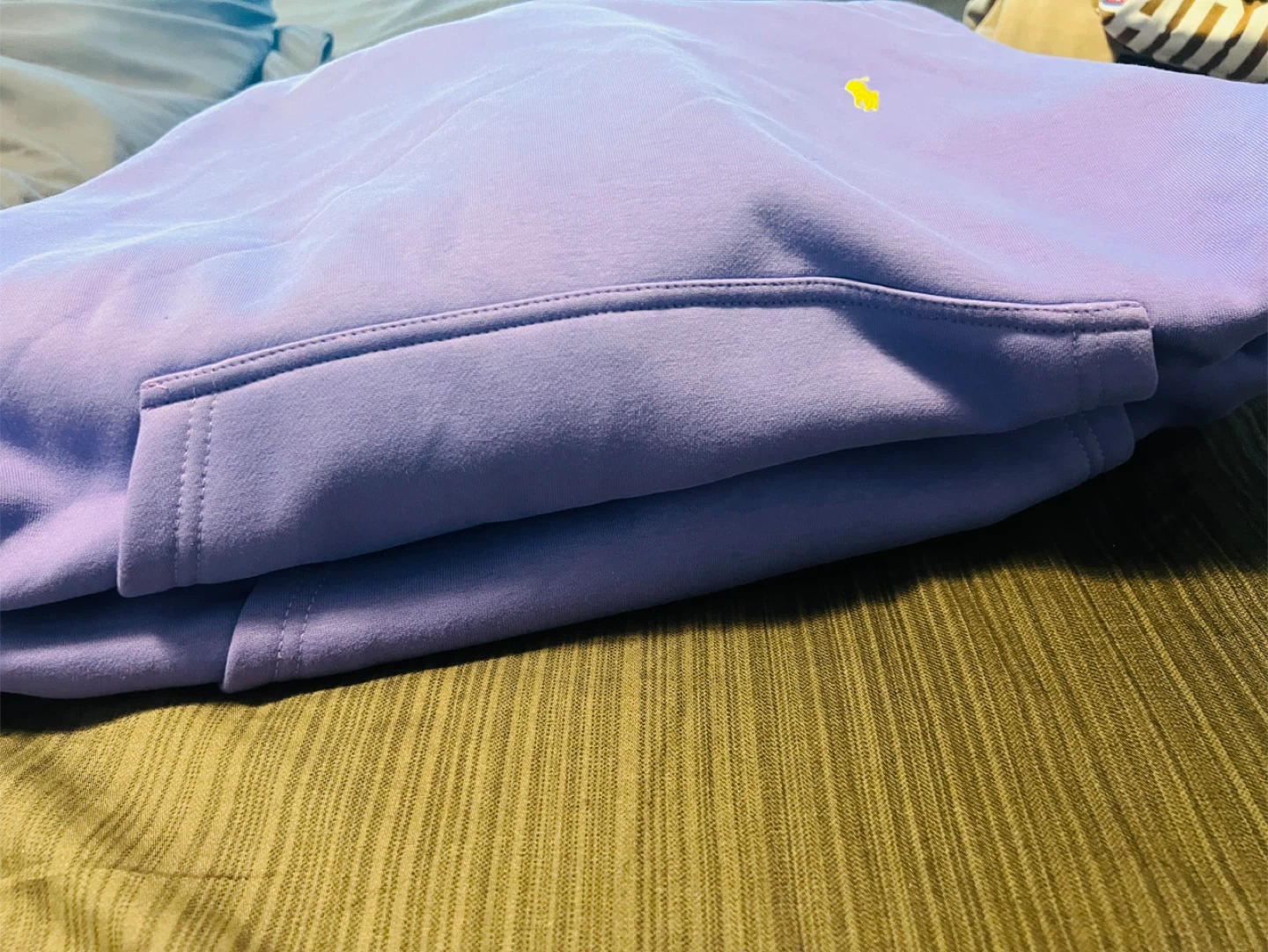 Polo Ralph Lauren Purple Hoodie - photo 3