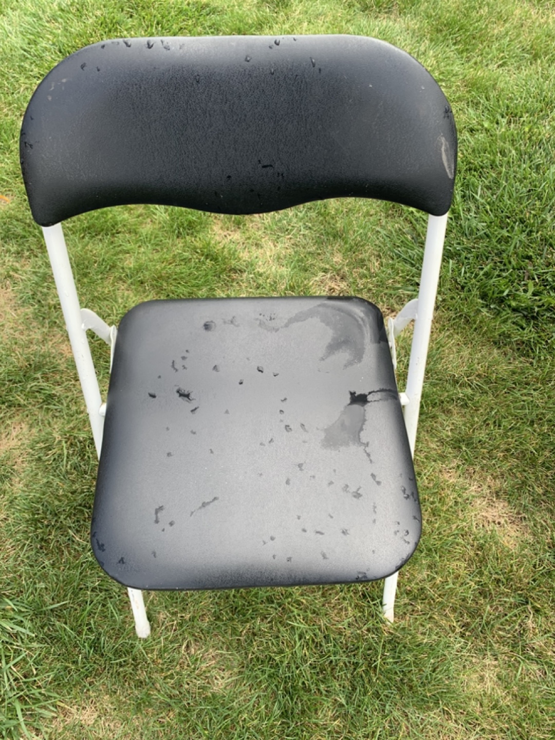 Folding Chairs - Black, Set of 6