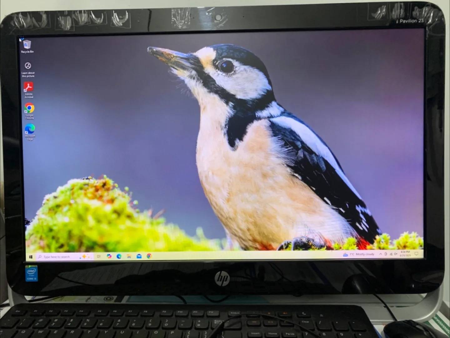 HP Pavilion 23 All-in-One Desktop thumbnail