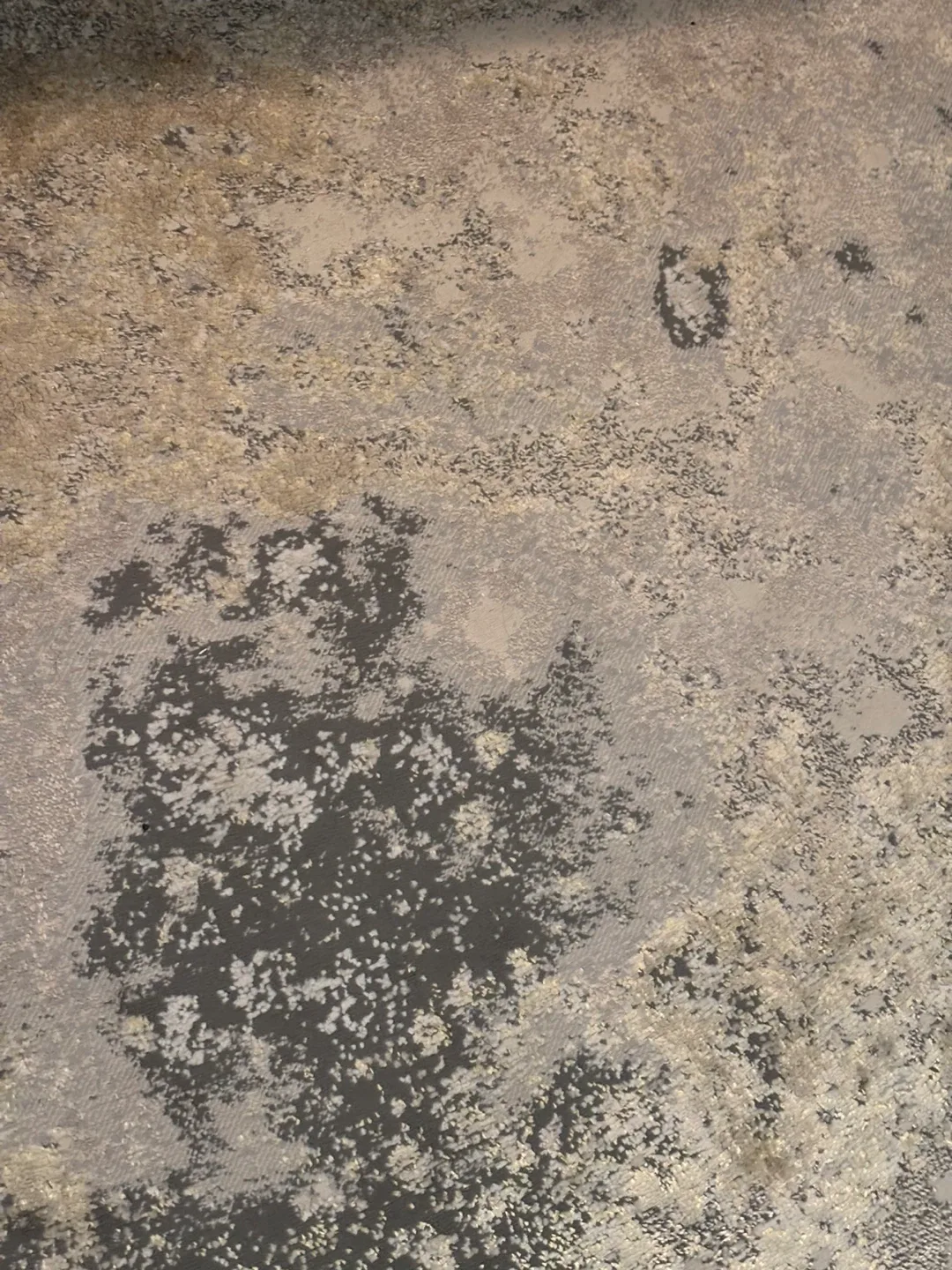 Area Rug – 160cm x 220cm – Excellent Condition image indicator(2)