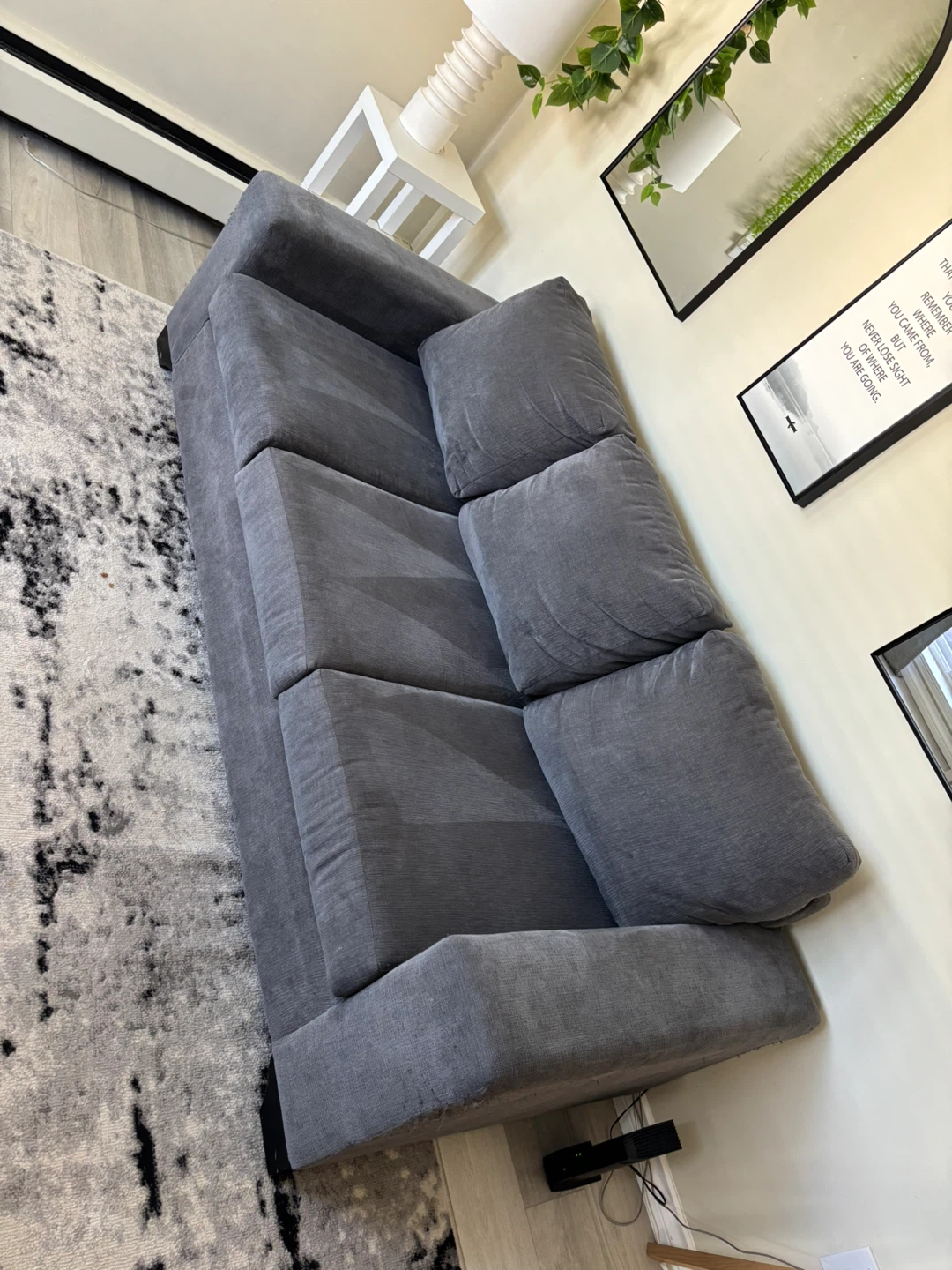 3-Seater Sofa – Well-Used, Pet Home – Priced to Go - photo 4