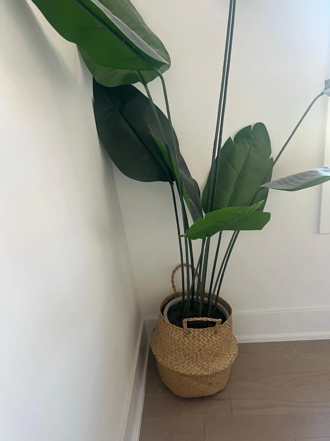 Faux Bird of Paradise Plant in Basket thumbnail