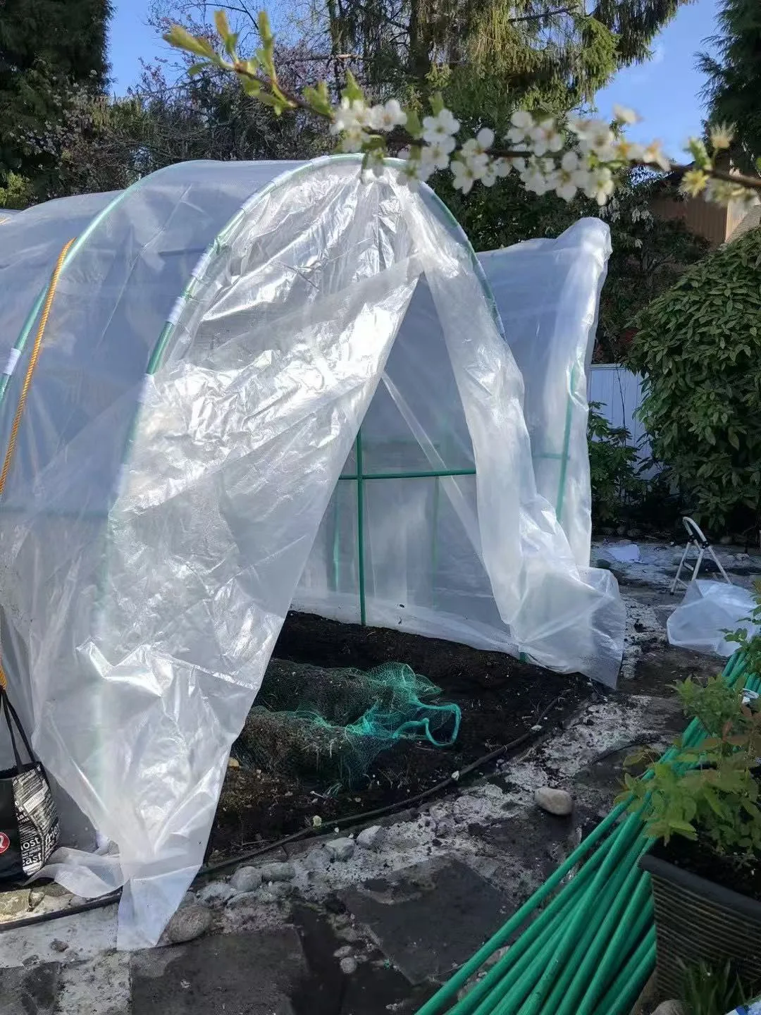 Greenhouse Clear Cover 24" x 20" image indicator(2)