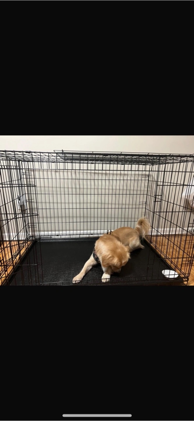 Dog Crate - Large Size