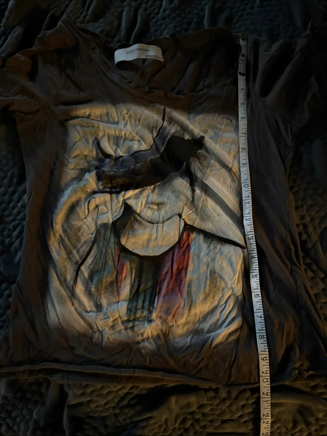 Zara Collection T-shirt, Size M image indicator(7)