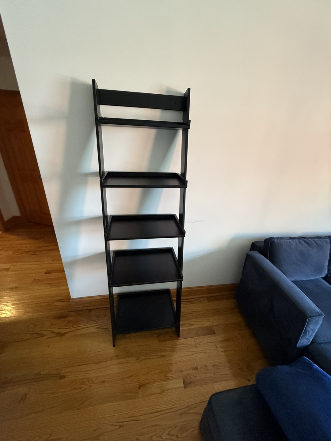 Black Ladder Shelf