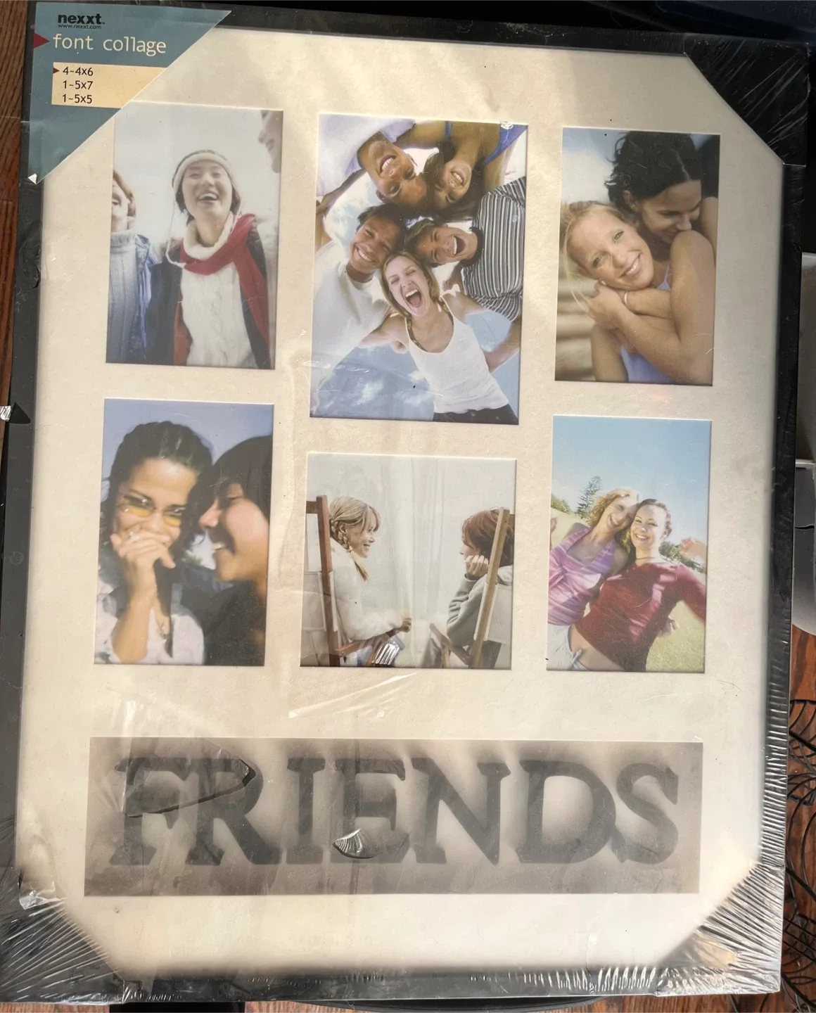 Friends (Picture Frame) thumbnail