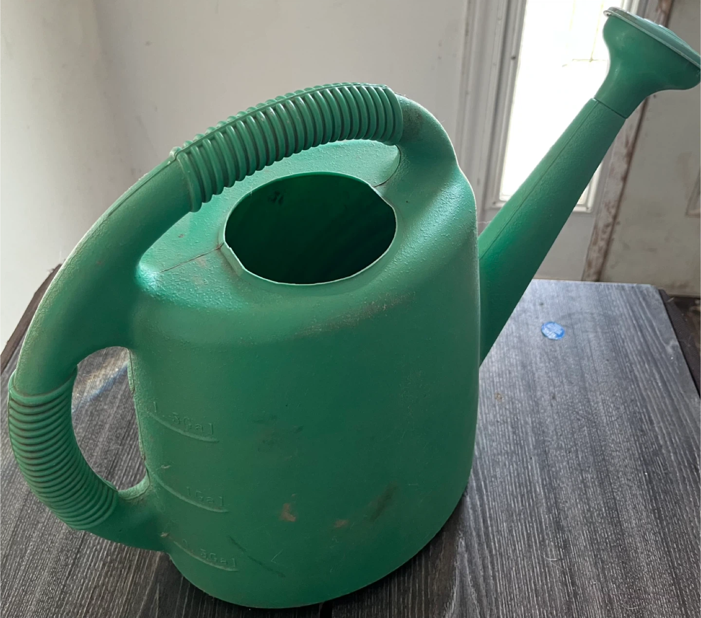 Water Jug (Plants)