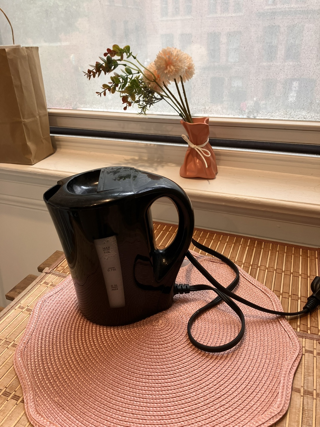Black Electric Kettle - 1L Capacity
