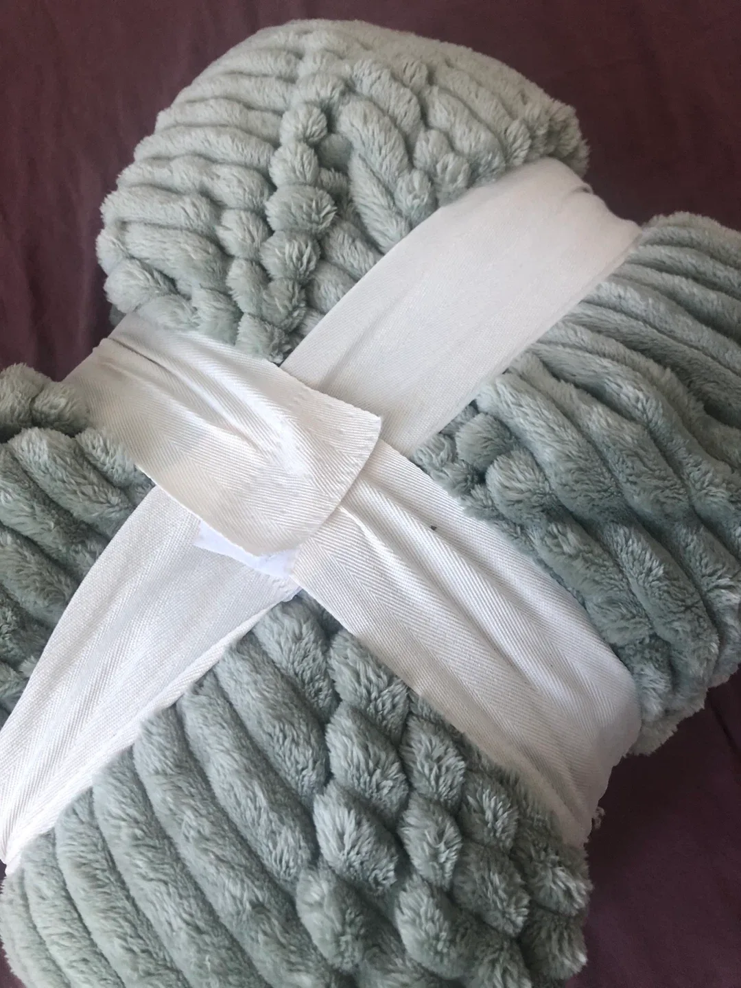 Soft Plush Blanket - Mint image indicator(2)