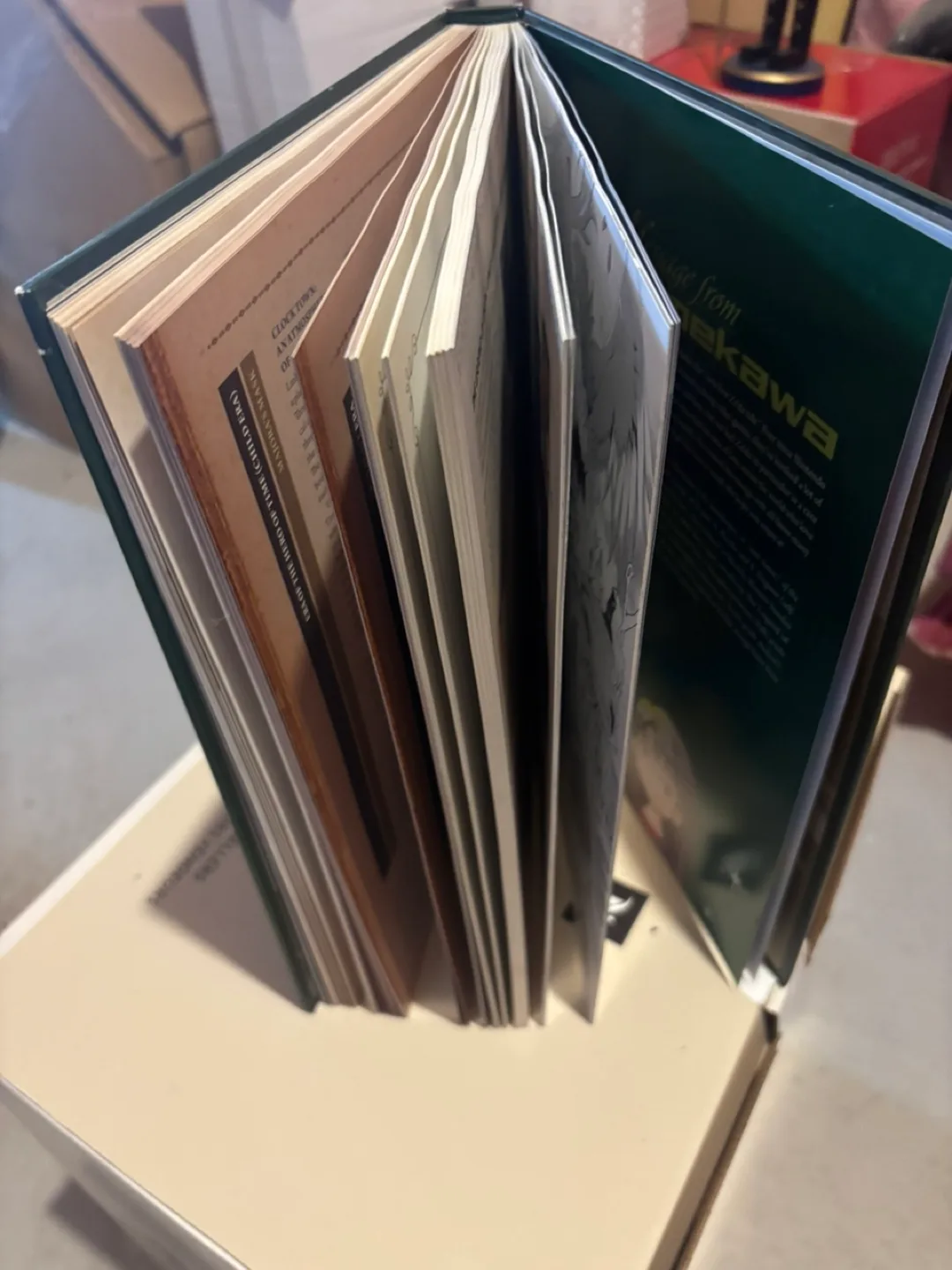 The Legend of Zelda: Hyrule Historia Book image indicator(2)