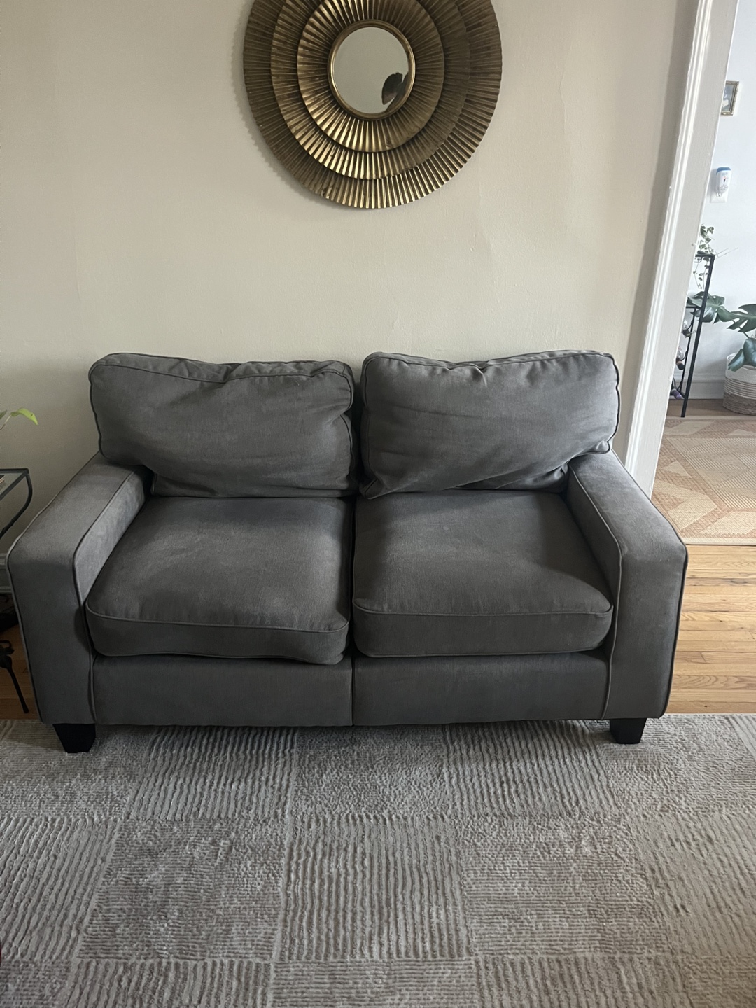 Gray Loveseat Couch