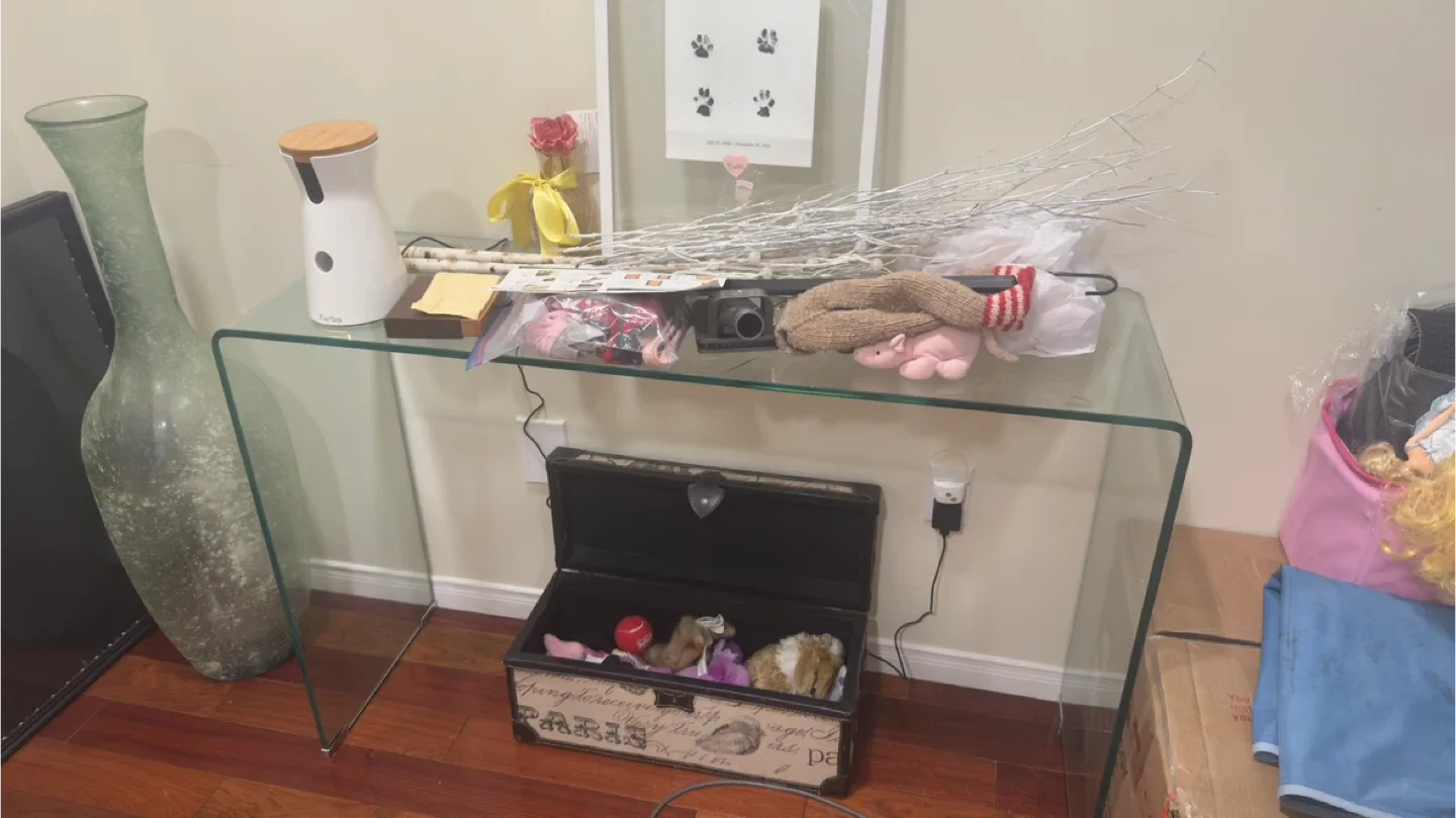 Mobilia Wenzel Glass Console Table image indicator(2)