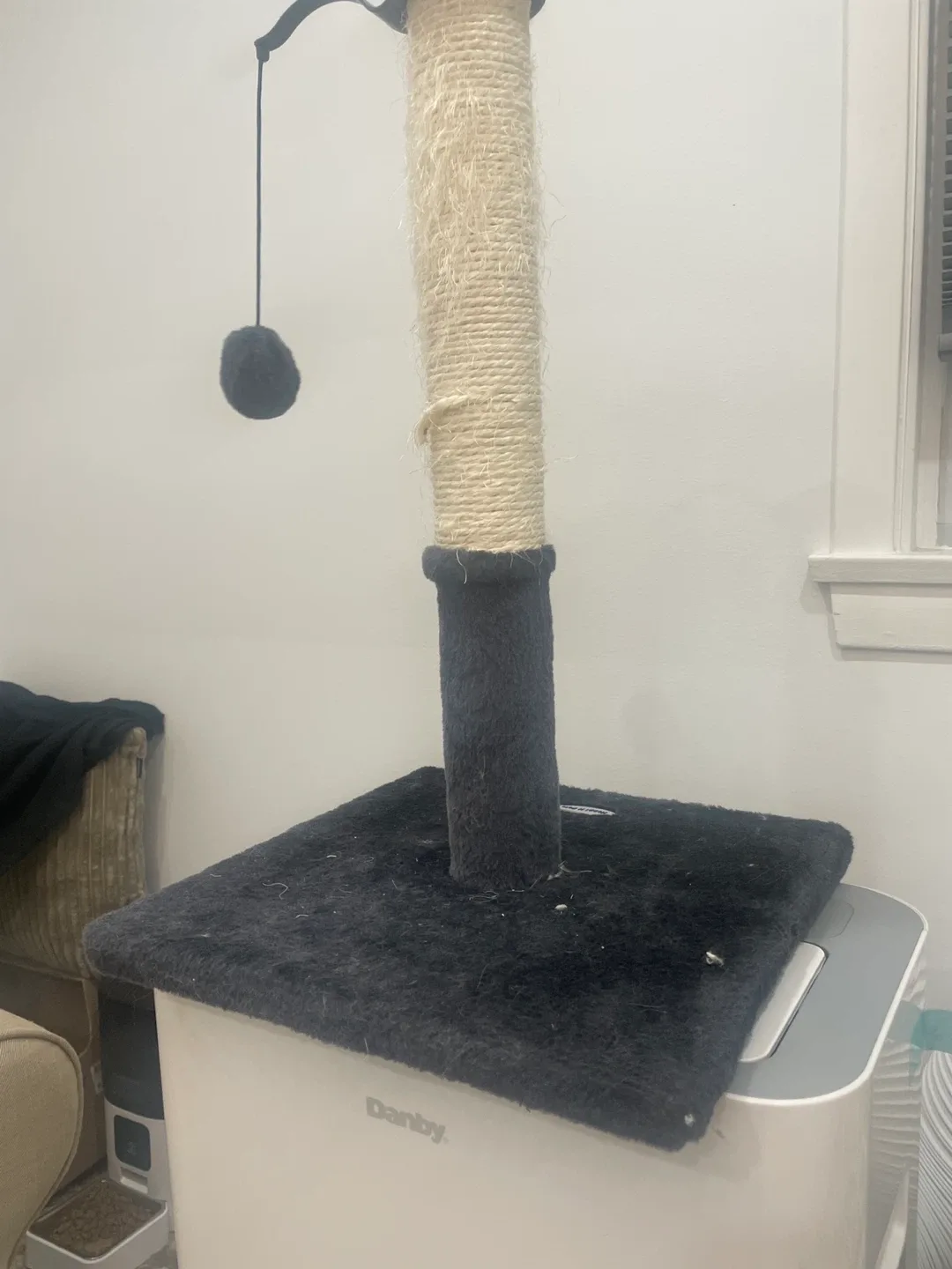 Cat Scratching Post with Toy thumbnail