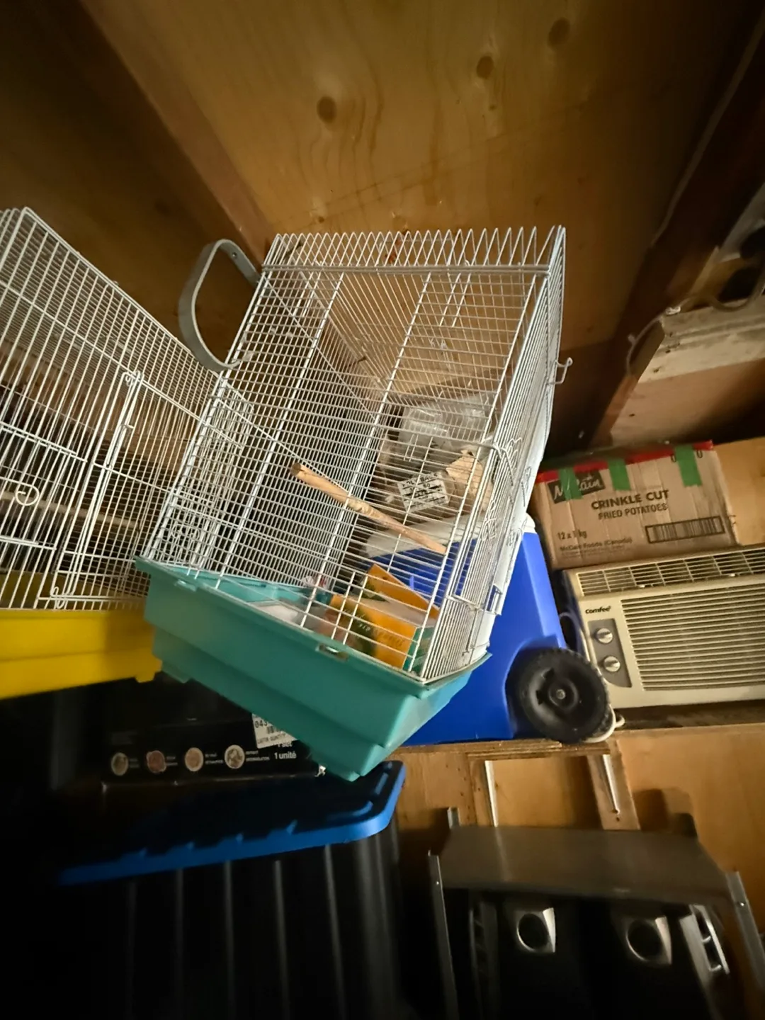 Bird Cage thumbnail