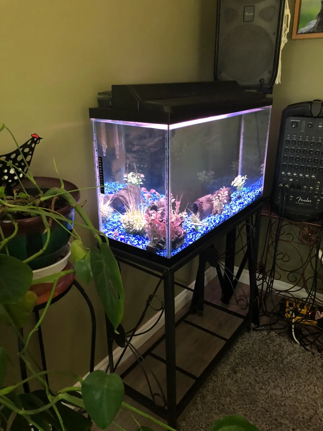 Aquarium with Stand 30 gallons with accessories image indicator(2)