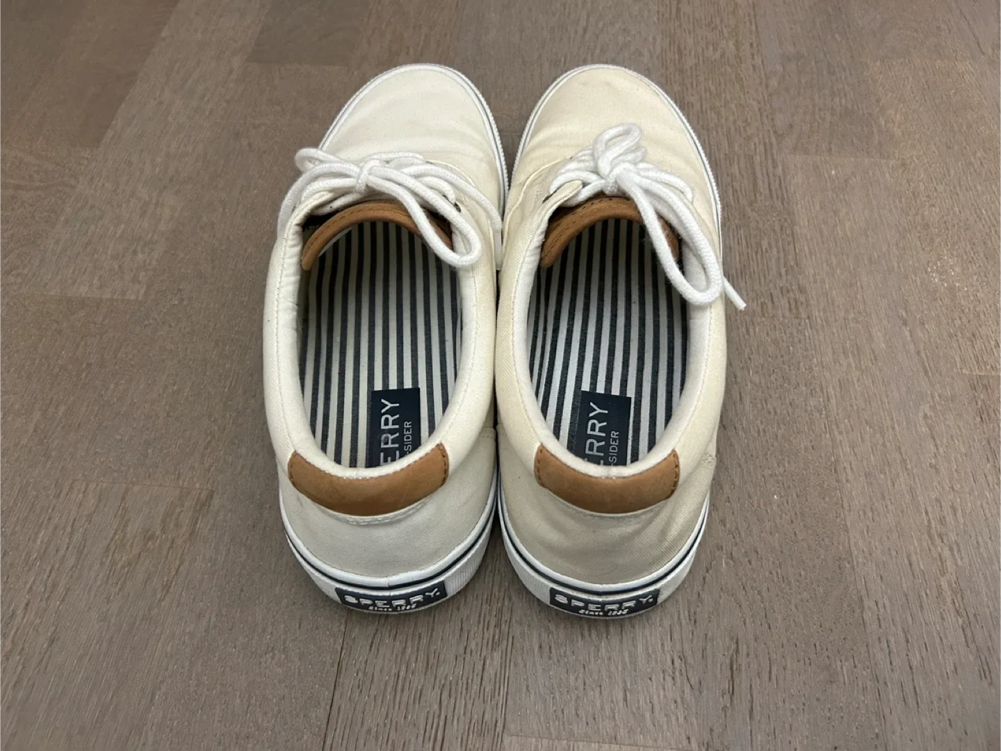 Sperry Top-Sider Canvas Sneakers image indicator(4)