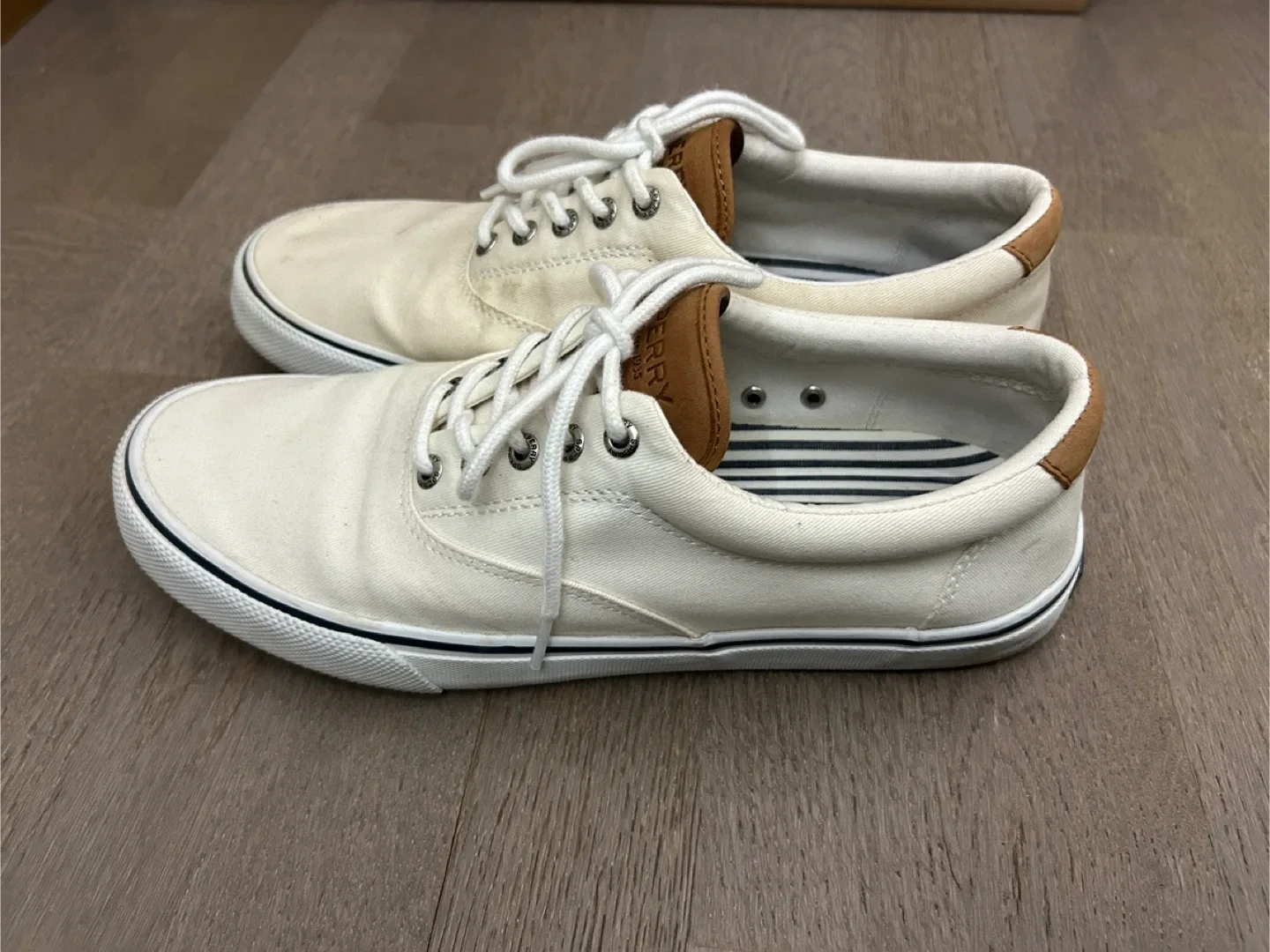 Sperry Top-Sider Canvas Sneakers image indicator(6)