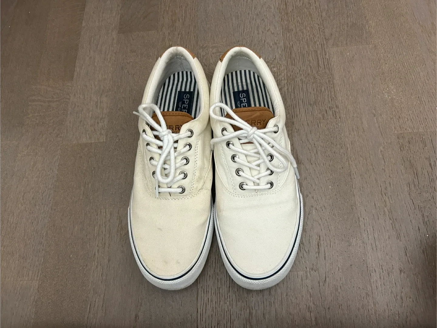 Sperry Top-Sider Canvas Sneakers image indicator(2)