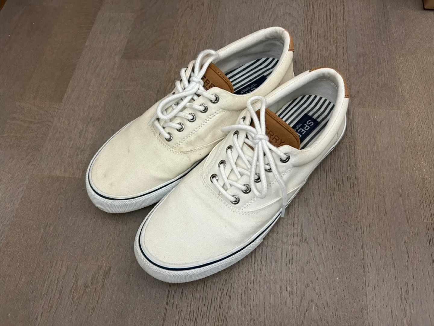 Sperry Top-Sider Canvas Sneakers image indicator(5)