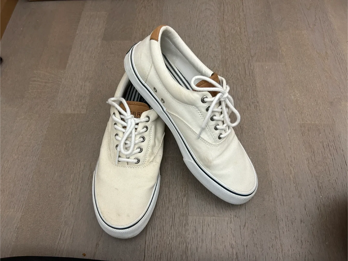 Sperry Top-Sider Canvas Sneakers thumbnail