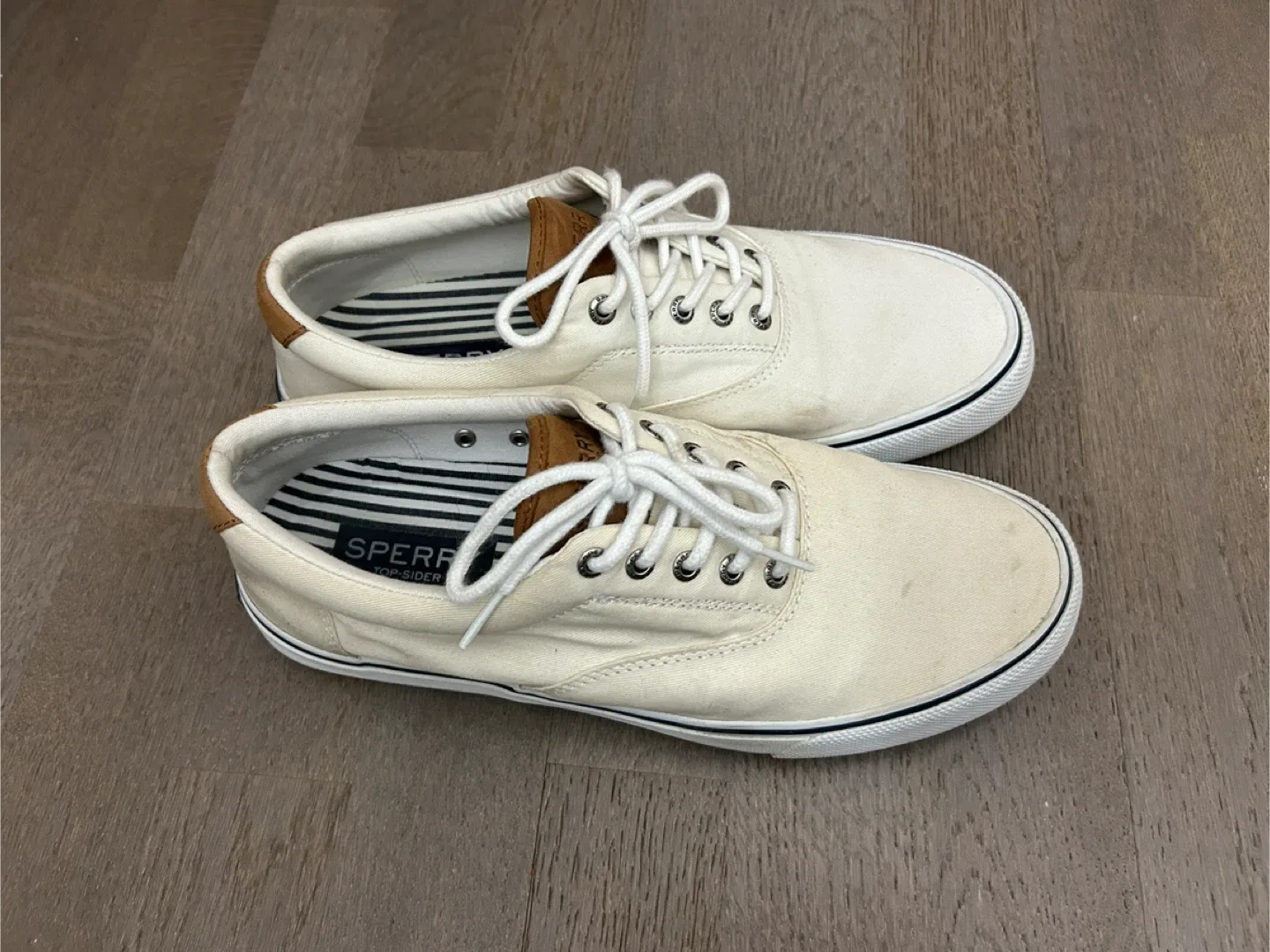 Sperry Top-Sider Canvas Sneakers image indicator(3)