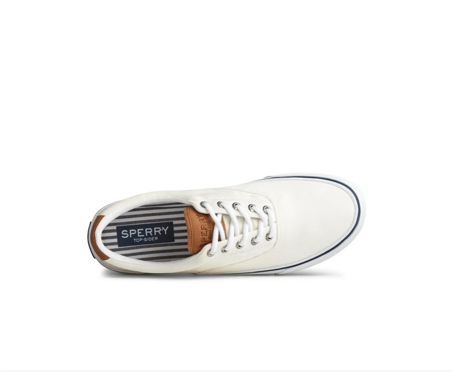 Sperry Top-Sider Canvas Sneakers image indicator(7)