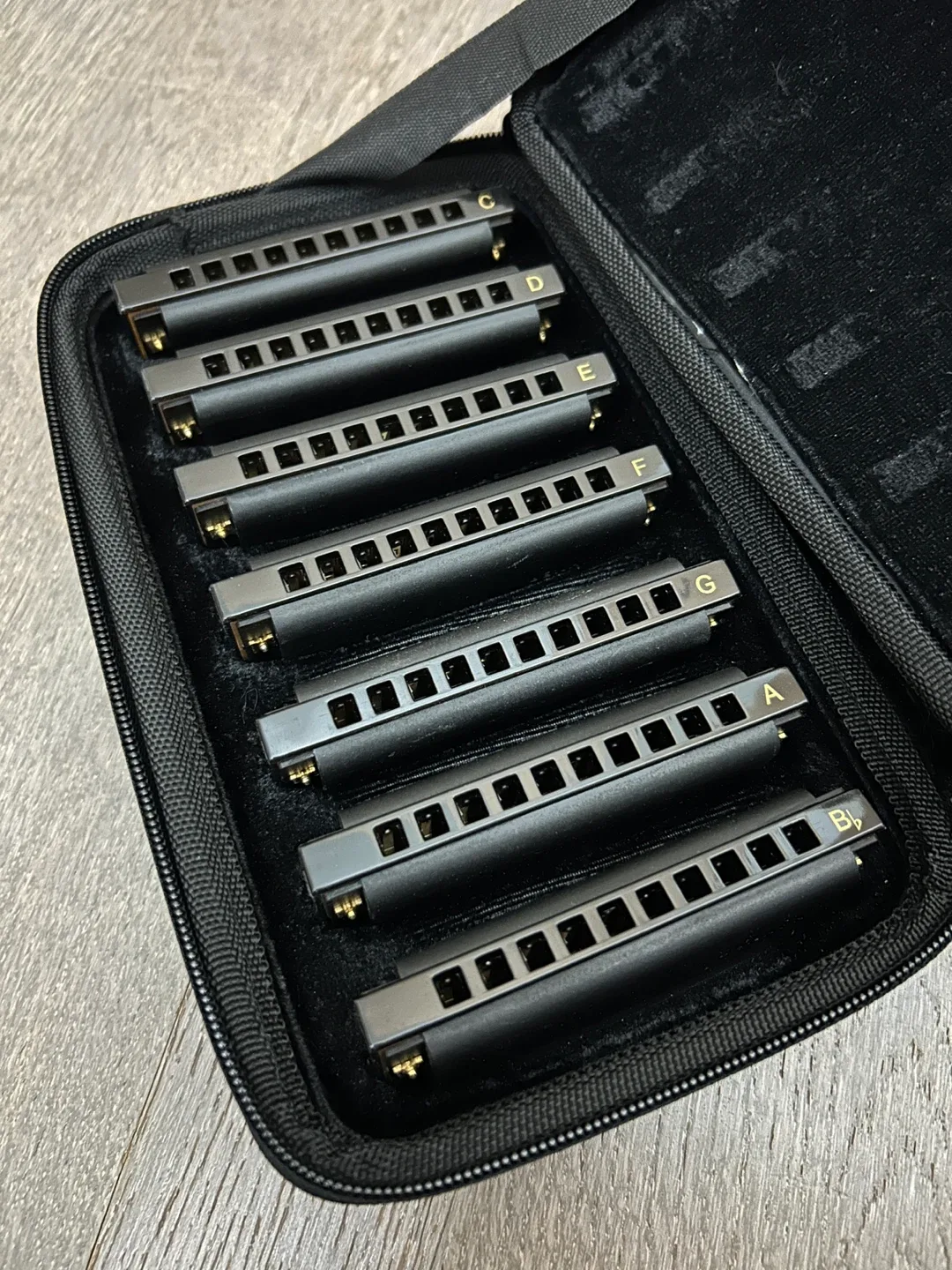 Harmonica Set with Case thumbnail