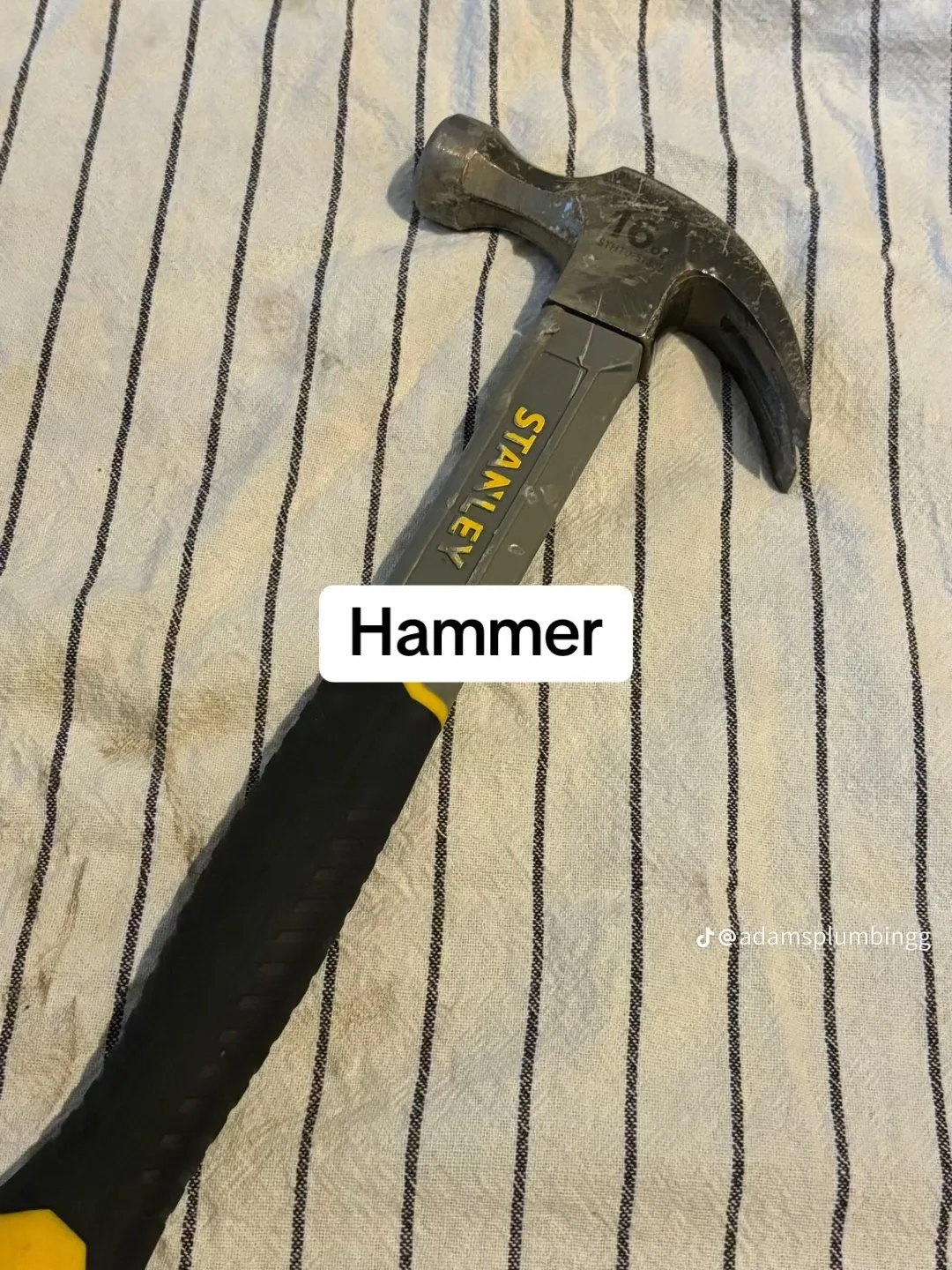 Stanley Hammer thumbnail