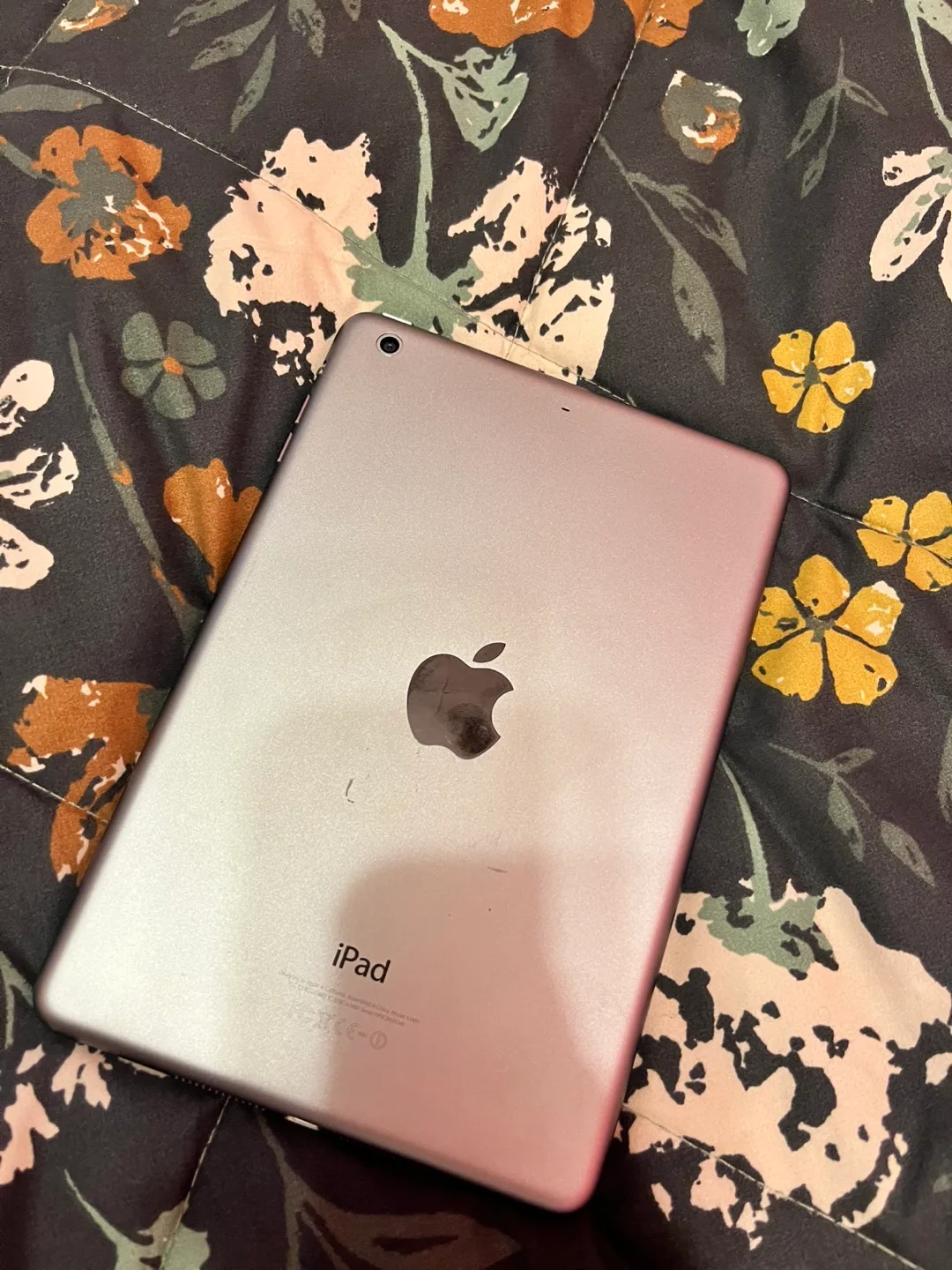 iPad mini 2 - 16GB image indicator(3)