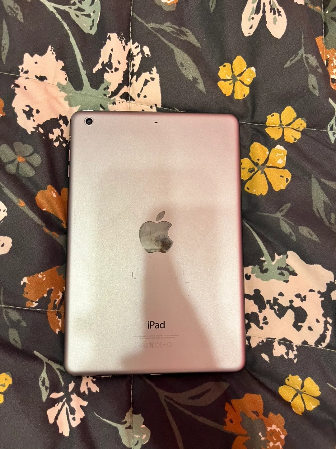 iPad mini 2 - 16GB image indicator(4)