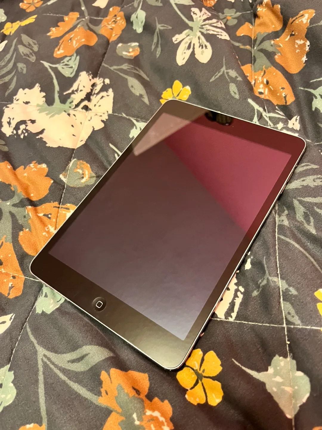 iPad mini 2 - 16GB image indicator(2)