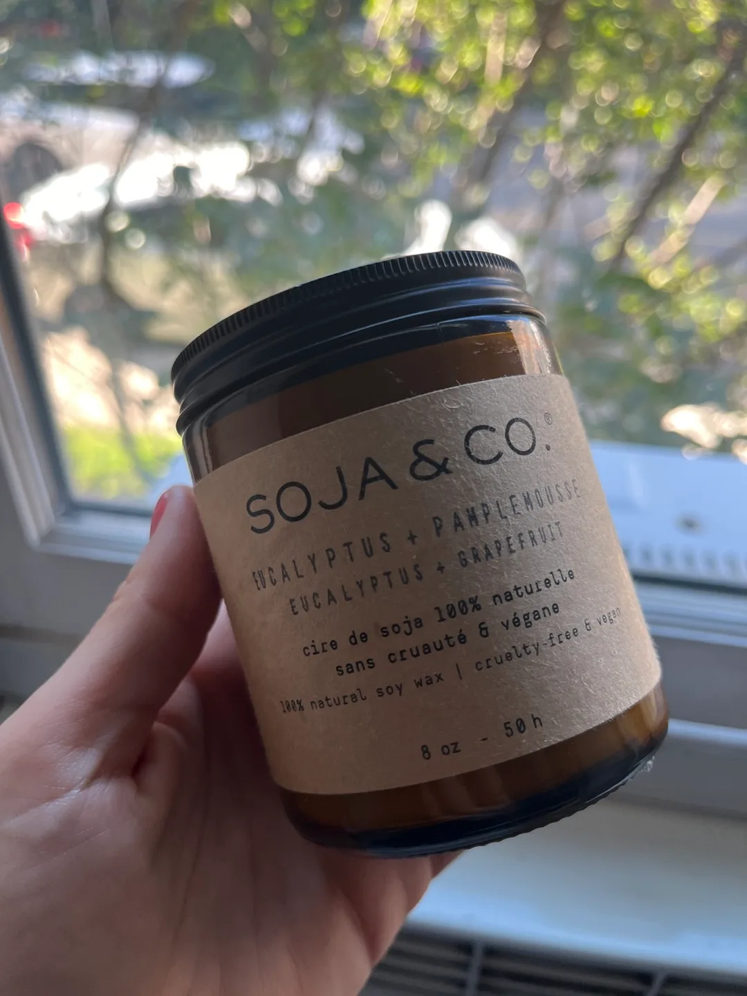 SOJA & CO. Eucalyptus + Grapefruit Candle