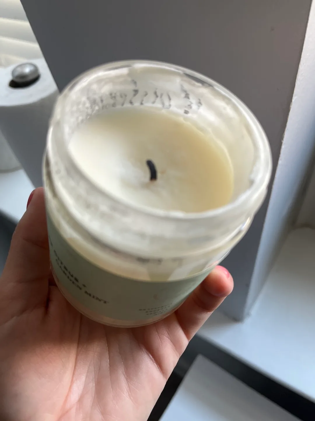 Homecoming Soy Wax Candle - Citrus & Garden Mint image indicator(2)