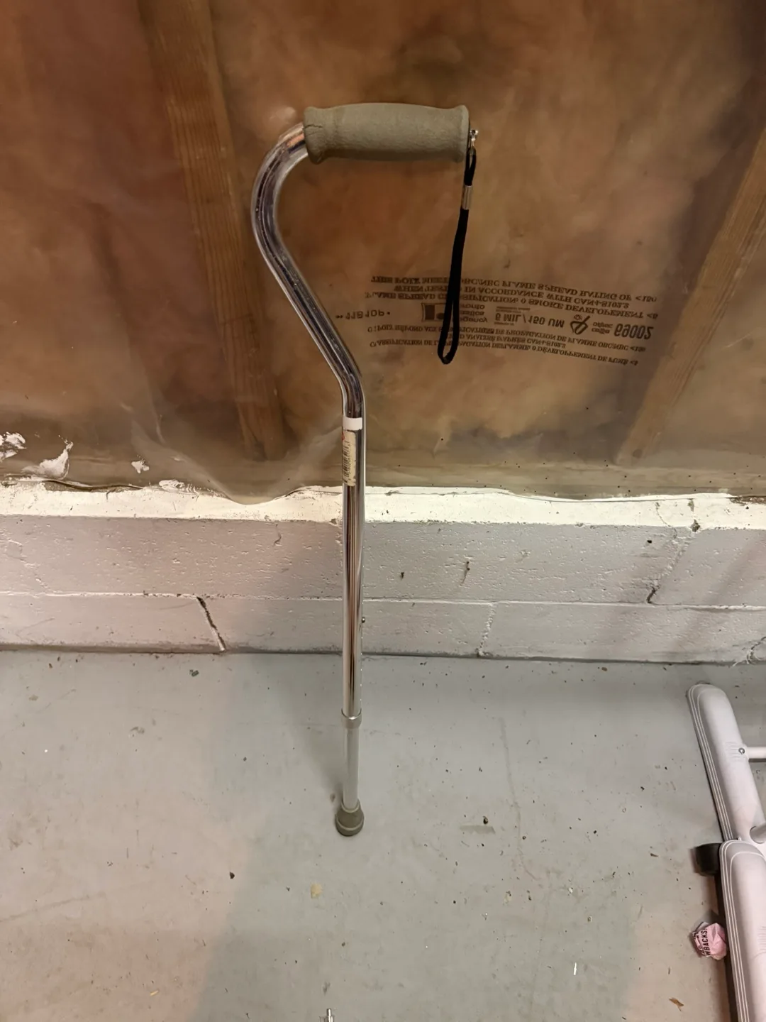 Cane thumbnail