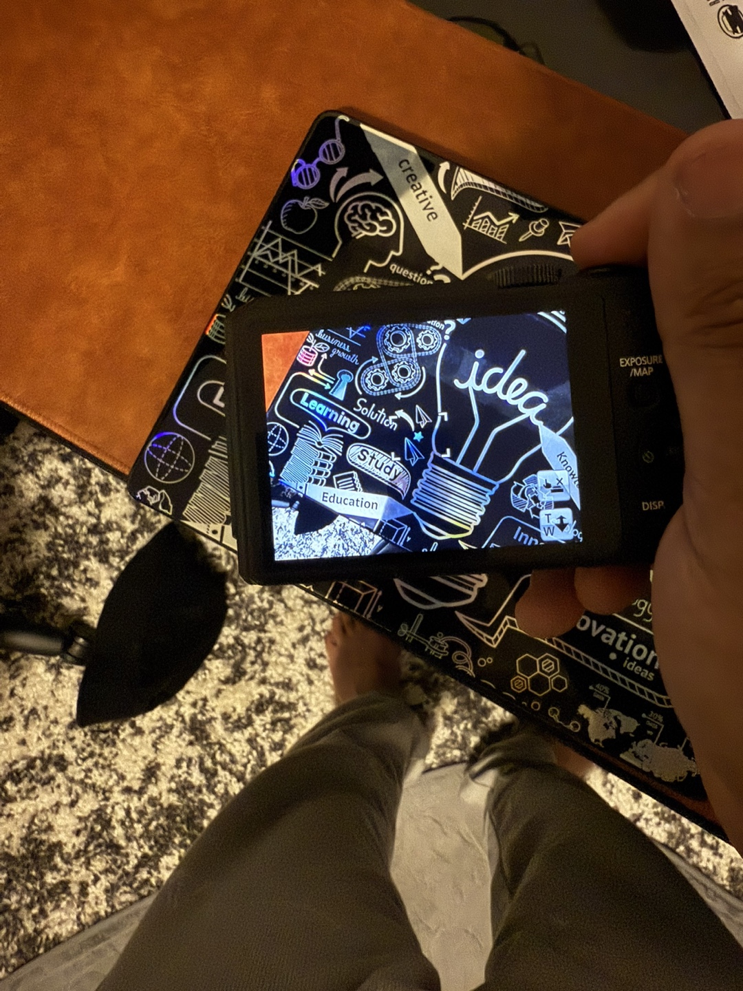 Panasonic Lumix DMC-ZS30 Digital Camera