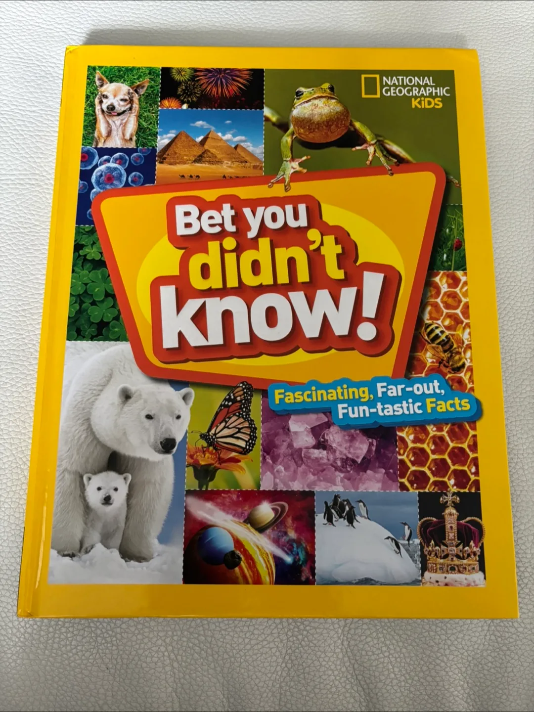 Kids' Educational Books - National Geographic & DK image indicator(3)