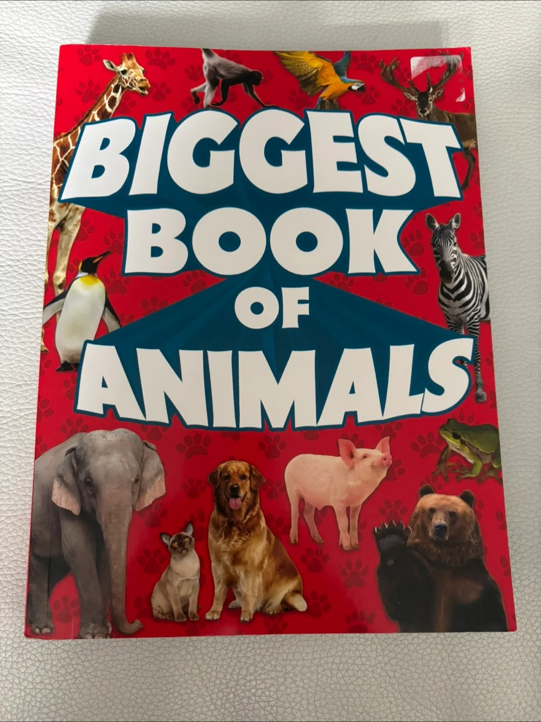 Kids' Educational Books - National Geographic & DK image indicator(5)