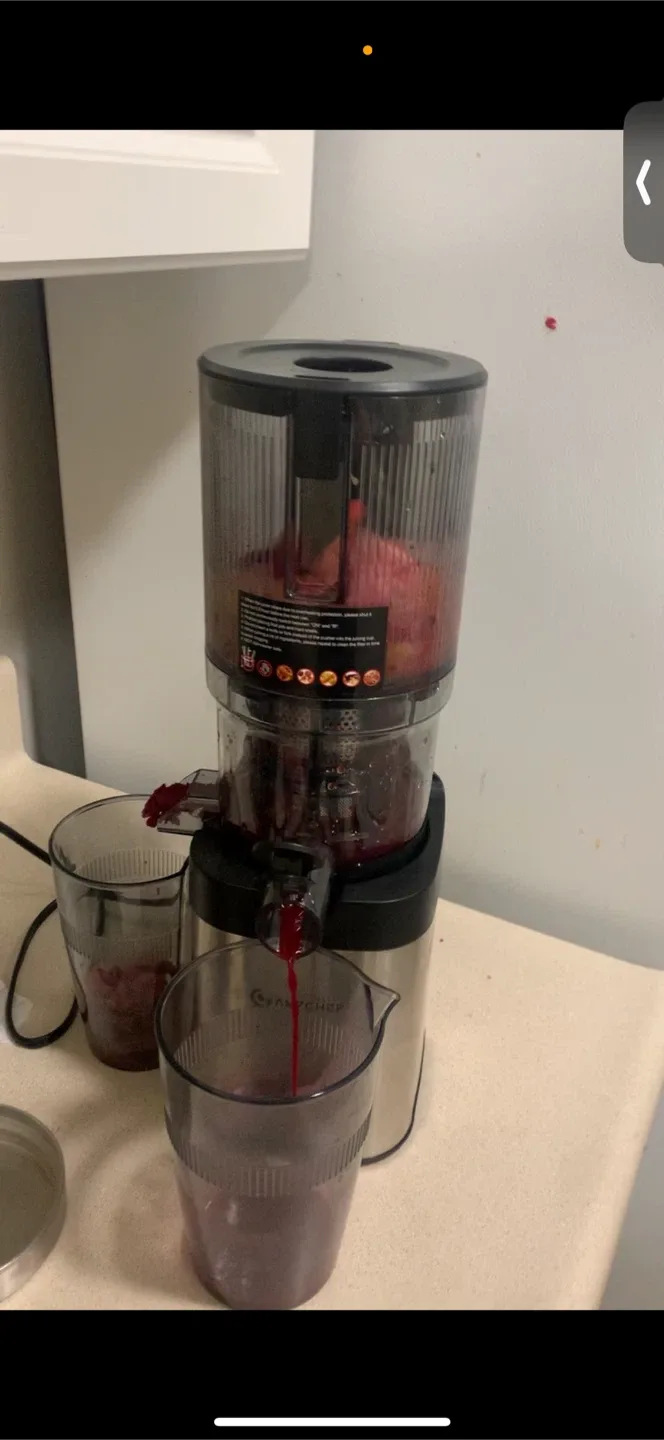 Amzchef Slow Masticating Juicer