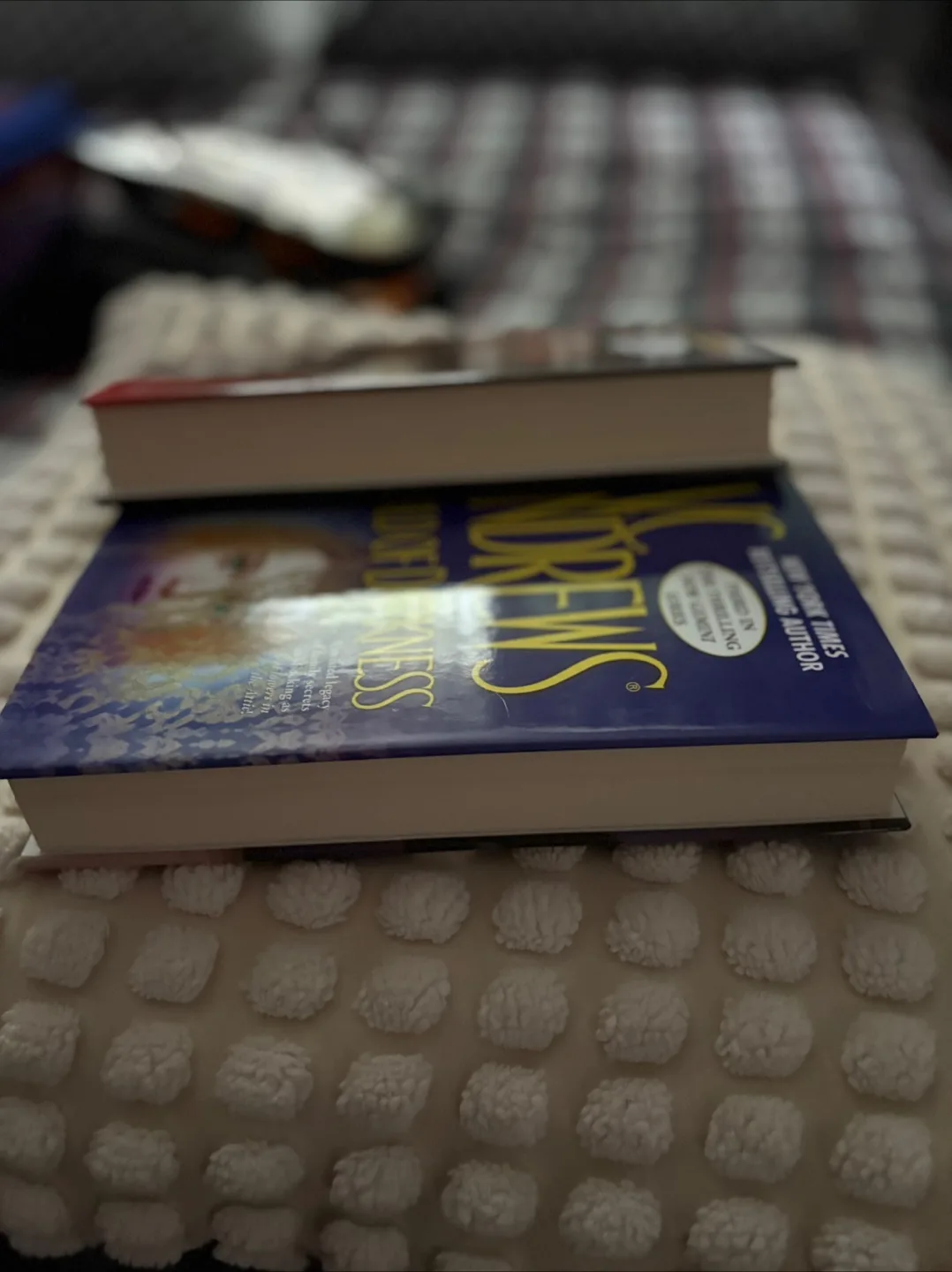 VC Andrews Gemini Series: Black Cat & Child of Darkness image indicator(2)