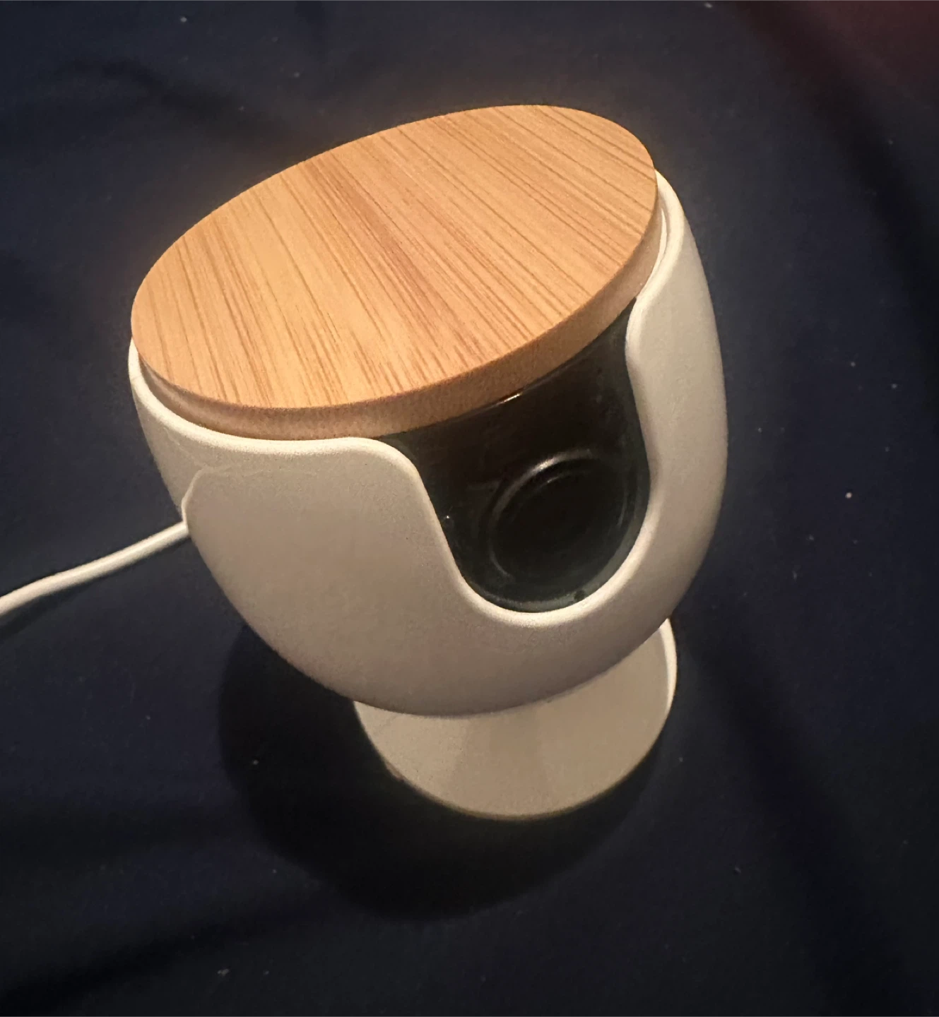 Mini Furno Dog Camera