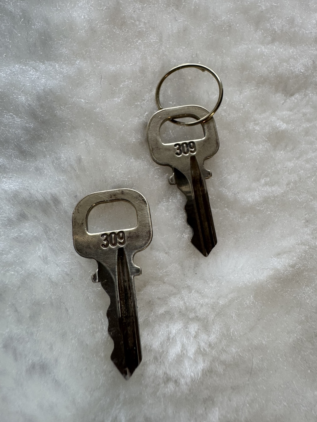 Louis Vuitton Padlock with Keys - photo 4