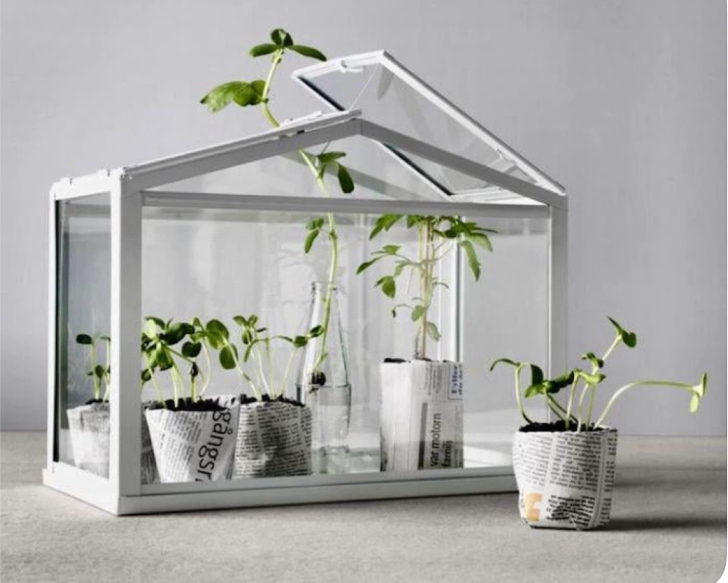 IKEA Socker Greenhouse - Indoor/Outdoor